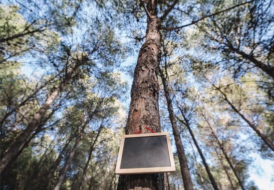 SMS ČR: informace pro obce k systému Plastic Waste Free